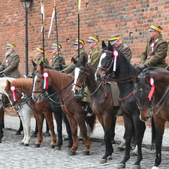 Tydzień patriotyczny - defilada i koncert